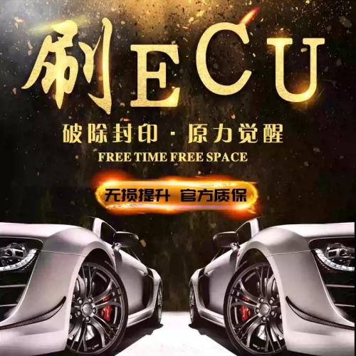 汽车刷ECU动力升级奔驰奥迪大众玛莎拉蒂保时捷路虎一阶程序特调